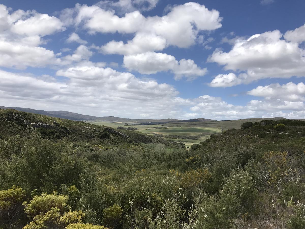Goedvertrou Guest Farm Papiesvlei Exterior photo