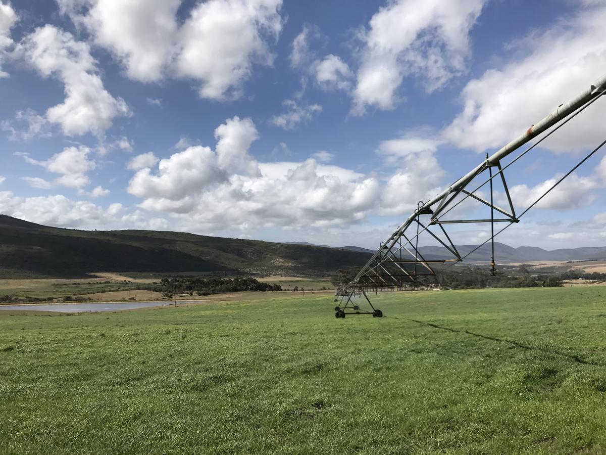 Goedvertrou Guest Farm Papiesvlei Exterior photo