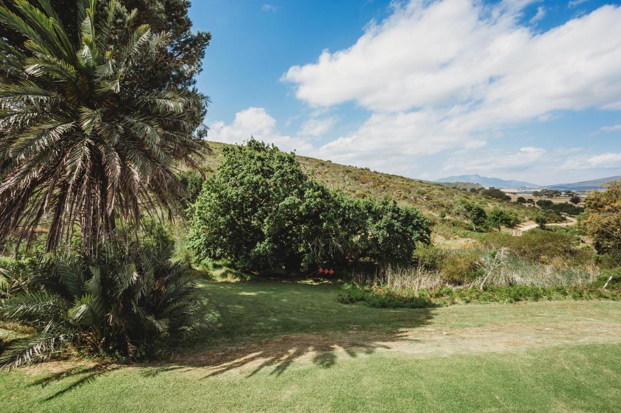 Goedvertrou Guest Farm Papiesvlei Exterior photo