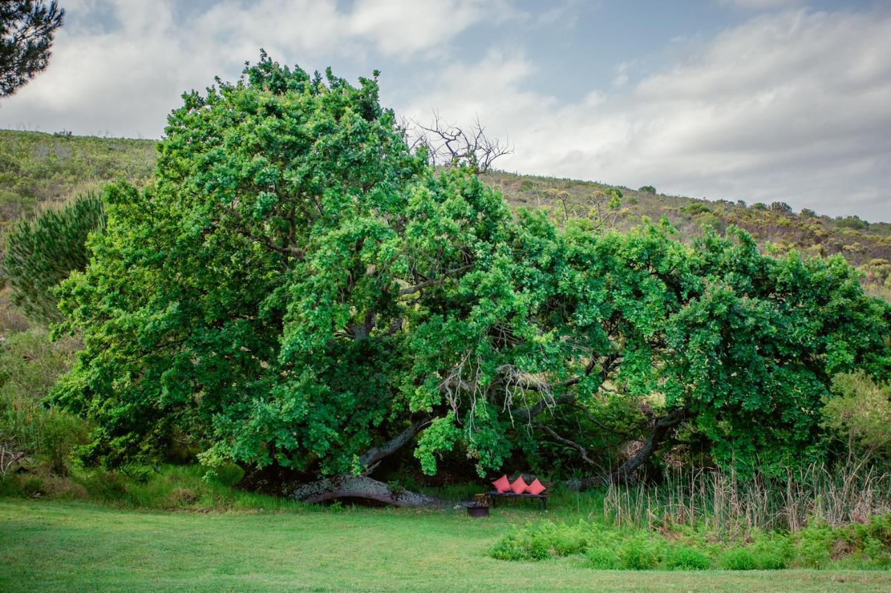 Goedvertrou Guest Farm Papiesvlei Exterior photo